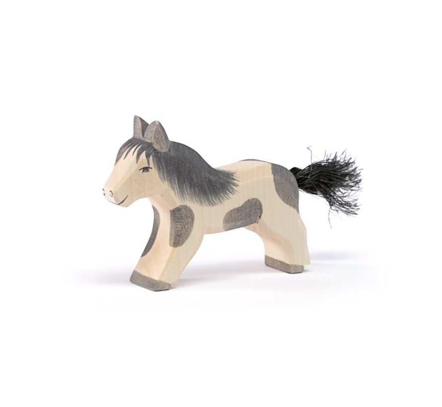 Shetland pony, rennend